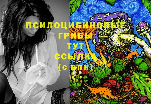 прущие грибы Алексин