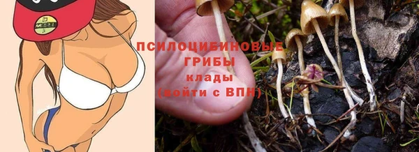 винт Тихвин