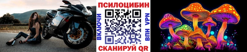 Галлюциногенные грибы Psilocybine cubensis  где продают   Пермь 